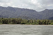 Canoe journey down the rivers of the Madre de Dios department in the Manu reserve